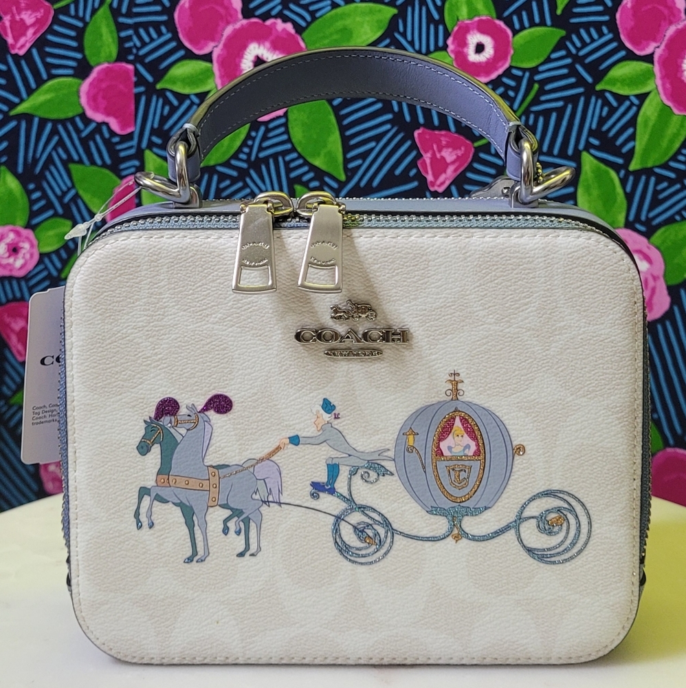 Disney x Coach Sold